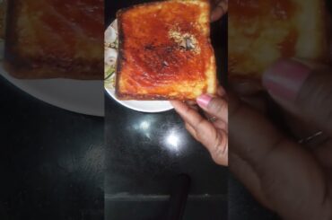 Healthy and tasty sandwich