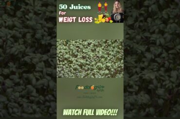 Weight Loss Recipes #shorts -24