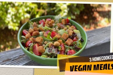 3 Yummy Homemade Meals & Anji's Animal Friends:Just Vloggin' Around