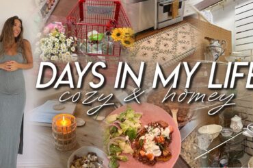 DAYS IN MY LIFE | home decor shopping, antique haul, getting out of a funk, & cooking new meals!