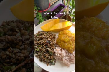 What's for lunch today | Intermittent fasting diet for beginners | Healthy weight loss diet