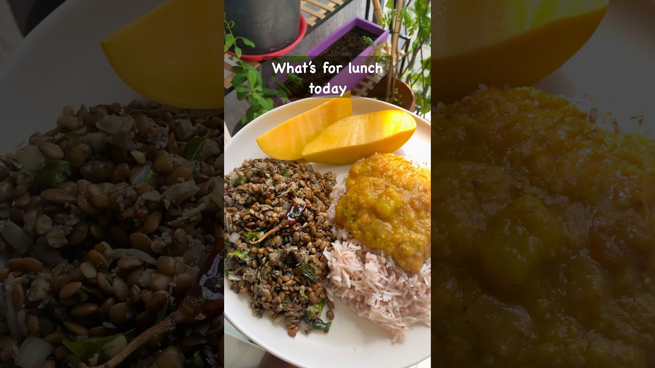 What’s for lunch today | Intermittent fasting diet for beginners | Healthy weight loss diet What's for lunch today | Intermittent fasting diet for beginners | Healthy weight loss diet