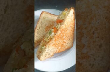 Brown Bread Egg & Veg Sandwich | Healthy Sandwich #recipe #shorts