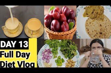 Day 13 Full Day Diet Plan |Healthy Recipes in Tamil | Weight Loss Diet Vlog Tamil