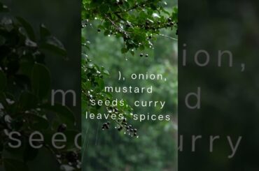 Quick and Easy Weight Loss Recipes for Busy People (28) #youtube   #youtubeshorts   #ytshorts