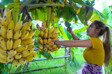 Fresh banana in my countryside and cook food recipe - Polin lifestyle