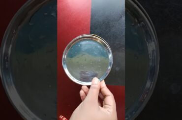 School/College/Office Lunchbox Packing Idea day13 #viral #trending #food #shorts #lunch #youtube