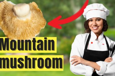 Wild Mushroom Magic: Health Benefits with These Irresistible Vegetarian Recipes!
