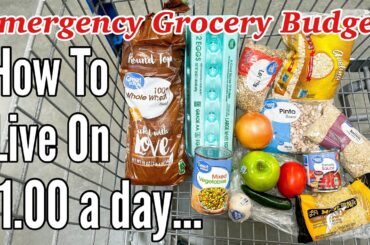 Eating For $1 A Day (Full Week)