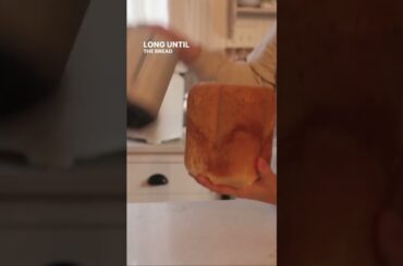 Bread Machine Sourdough Bread #shorts