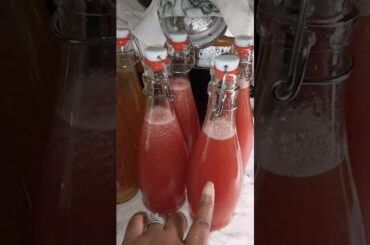 Summer Time Drink #shorts #drink #recipe #health #summer #subscribe #trending #viral #food #fyp