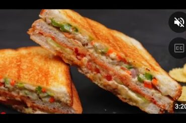 Health sandwich with vegetables,  healthy sandwich for weight lose,Ghar per sandwich kaise banae