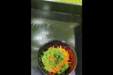 Carrot salad#shorts#shortsyoutube #shortvideo #shortsvideo #ytshorts #short