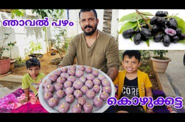 Jamun Fruit kozhukattai | Jamun Recipe | Healthy Food | Malayali Vlogger