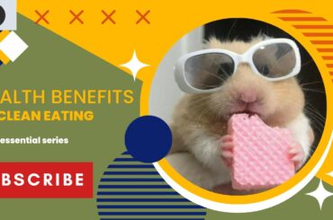 Clean Eating Recipes | Clean Eating For Beginners | Weight Loss | Medic Enthusiast