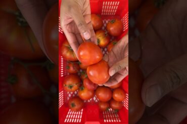 Snacks I Packed For My Flight Part 14