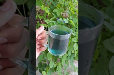 Weight Loss Tea | #shorts #viral #weightlosstea #trending #youtubeshorts #recipe