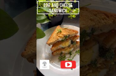 Simple breakfast ideas..protein rich cheese and egg bread sandwich..healthy and tasty #youtubeshorts