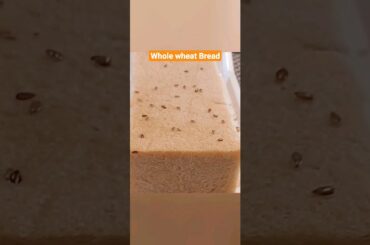 Whole wheat Bread|yum...Homemade|Cake Me Away|#subscribe, #breadcake, #viral ,#youtube,#shorts