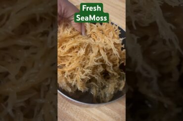 Fresh SeaMoss #breakfastsmoothie #weightloss #recipe #healthdrink #health #healthy  #seamoss