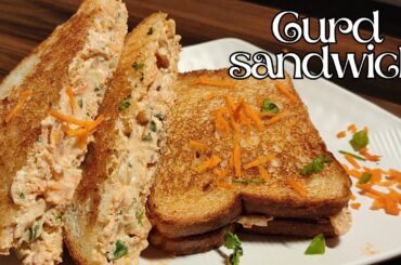 Curd sandwich recipe | Stomach filling healthy recipe | Bachelor recipe | Easy sandwich | Suduthanni