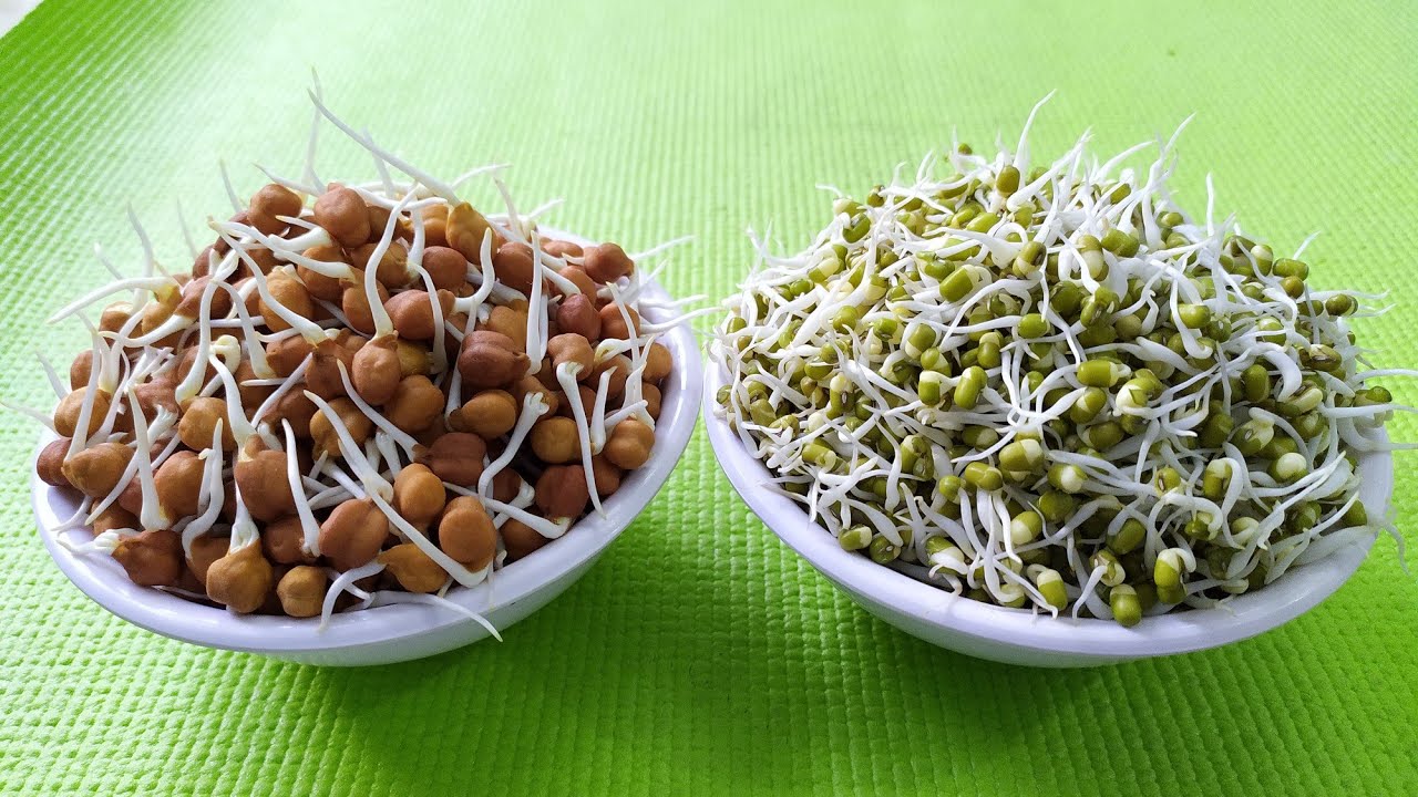 Sprouts in One Night | Ek raat mein Sprouts nikalne ke easy tareeke Sprouts in One Night | Ek raat mein Sprouts nikalne ke easy tareeke