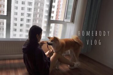 Homebody Vlog in UB | Eating at home, healthy recipes, grocery shopping