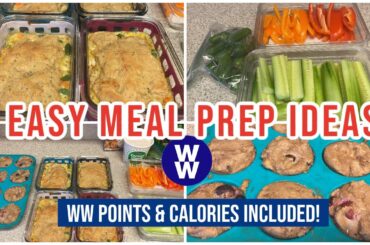 EASY MEAL PREP IDEAS | Single Serve Chicken Pot Pie, Berry Protein Muffins | Journey to Healthy
