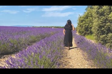 Summer in Provence | Southern France Vlog | Lavender Field | Healthy Recipes #france