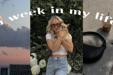 A WEEK IN MY LIFE:  new rugs, healthy recipes, weekend getaway + more!