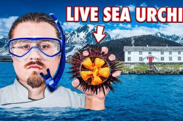 Cooking What I Find In The Arctic Circle