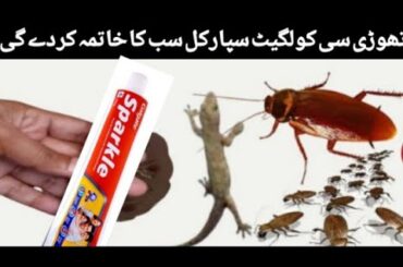 Colgate Sparkle magic cockroach killer | cockroaches killer | best cockroach killer | roach killer