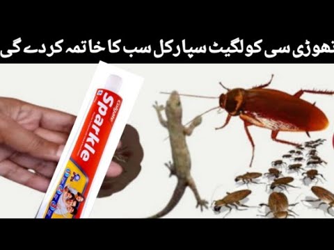 Colgate Sparkle magic cockroach killer | cockroaches killer | best cockroach killer | roach killer Colgate Sparkle magic cockroach killer | cockroaches killer | best cockroach killer | roach killer