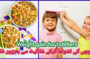 kids lunch box recipe/healthy weight gain recipe by musa's world/tiffin box recipe/ kids/toddlers