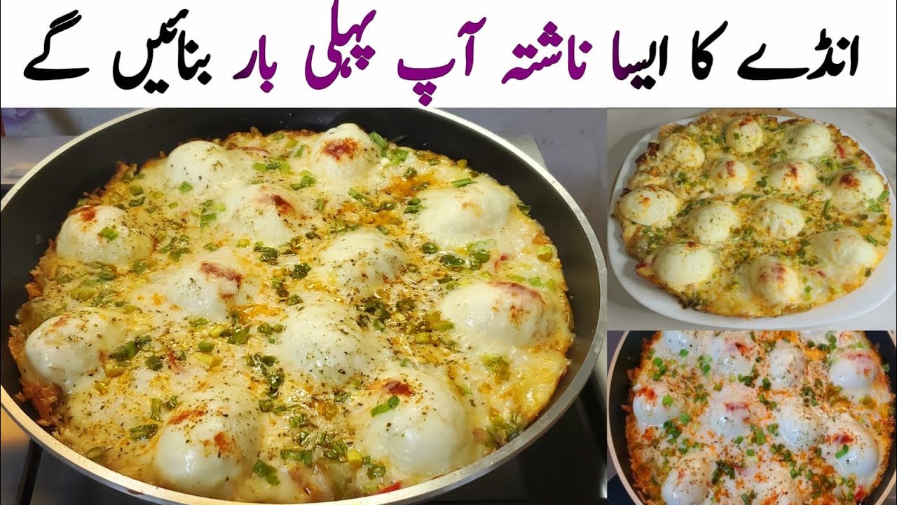 Healthy Breakfast Recipe | Breakfast Recipe With Eggs | Easy Breakfast Recipe | Healthy Breakfast Recipe | Breakfast Recipe With Eggs | Easy Breakfast Recipe |