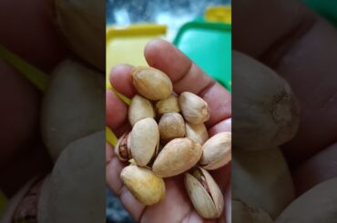 Easy tiffin recipes for kids | Healthy indian lunch box ideas for school | kids tiffin ideas