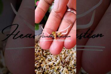 Sprouts Salad | Sprouts benefits#shorts #shortsfeed #asmr