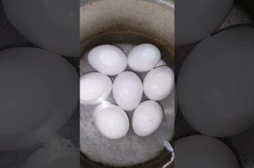 #oiled egg curry recipe#pleasesubscribe#shortsfeed#trending#healthy recipes#