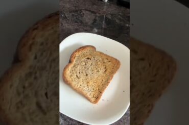 Low carb high fiber healthy bread?! #RoyoBread #EatRoyo #HealthyBread #KetoBread #healthy #lowcarb