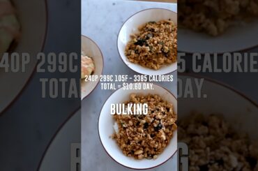 Easy and Cheap BULKING Meals!