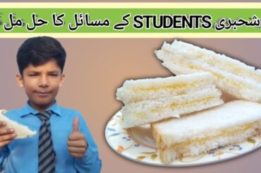 student sandwich recipes/student sandwich simple recipe