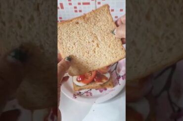 Super easy and healthy sandwich recipie #shorts #houseofquickrecipies #healthysandwich #sandwich