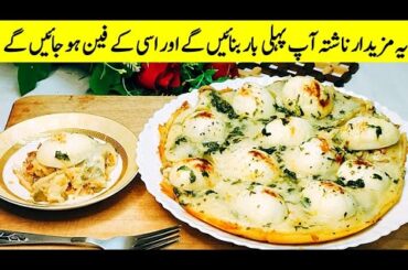 Healthy Breakfast Recipe | Breakfast Recipe With Eggs | Easy Breakfast Recipe | Nashta Recipes