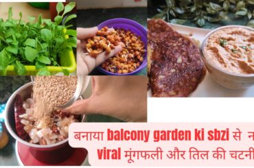 Viral Balcony Garden Breakfast: Healthy Recipes You Must Try #viral #food #chutney #chanarecipe