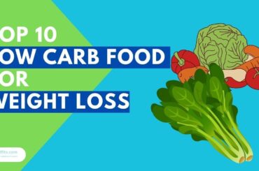 Top 10 Low Carb Foods for Weight Loss with Calorie Counts | Healthy Choices for a New You