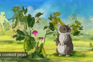 Providing Healthy Meal Recipes for Dogs