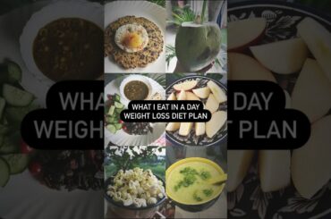 Weight Loss Diet | Lose Weight Fast | Diet Plan for Weight Loss #shorts #youtubeshorts #short #diet