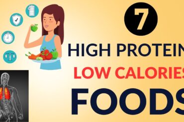 The 7 Best High Protein & Low Calorie Foods for Rapid Weight Loss