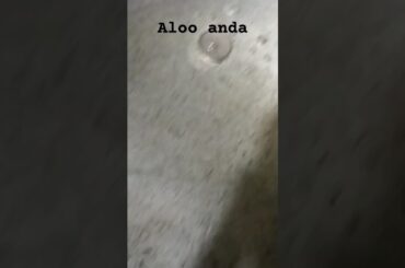 Anda ghotala easy quick recipe | Alloo anda|anda allo.#cooking #food #healthy#shorts#youtubeshorts