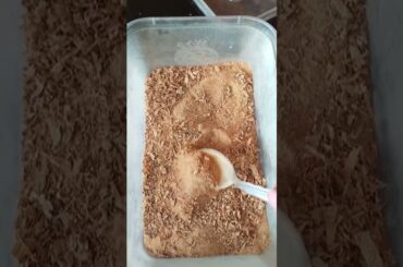 Tasty healthy breakfast recipes /breakfast and snacksbox recipe #shorts #breakfast #snacksbox